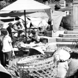 pha-trong-sn-ch-bnh-ty_6960462125_o