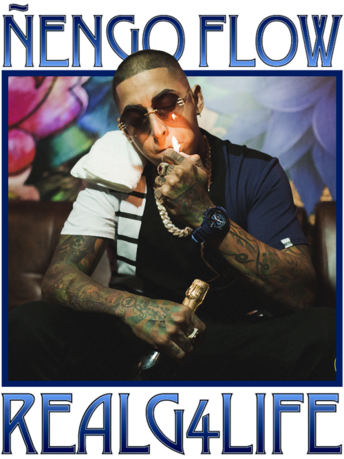 Nengo-Flow-RG4L.png