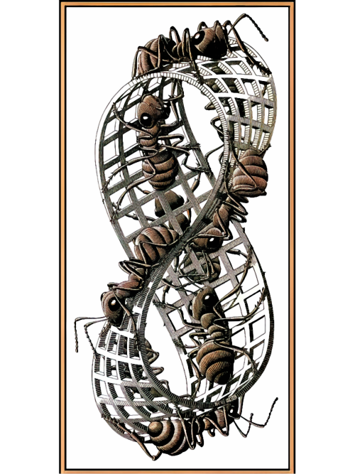 Escher---Moebius-Strip-II.png