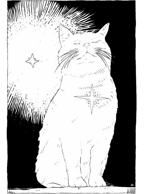 Lunar-Cat-Premium.png