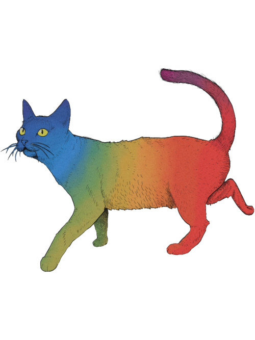 Rainbow-Cat.png