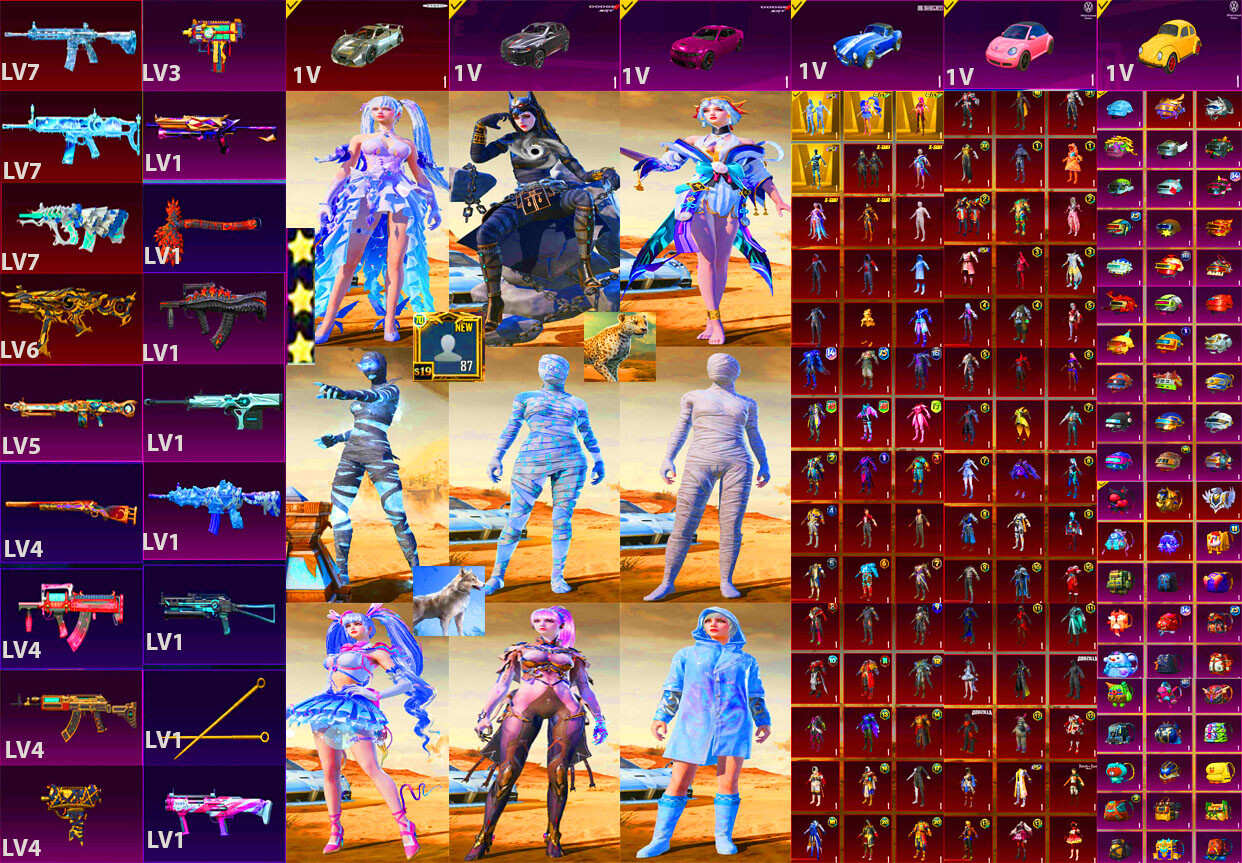 Account #230