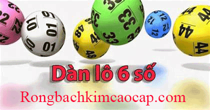 dan-lo-6-so-rong-bach-kim-cao-cap-com.png