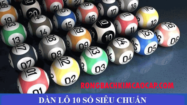 rong-bach-kim-cao-cap-dan-lo-10-so.png