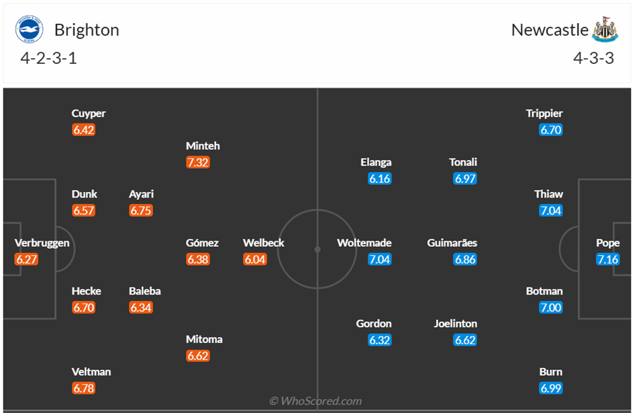 Đội hình dự kiến Brighton vs Newcastle