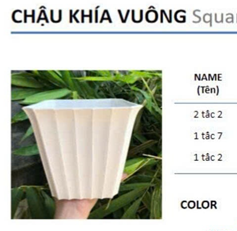 Chậu khía vuông 1 tấc 2