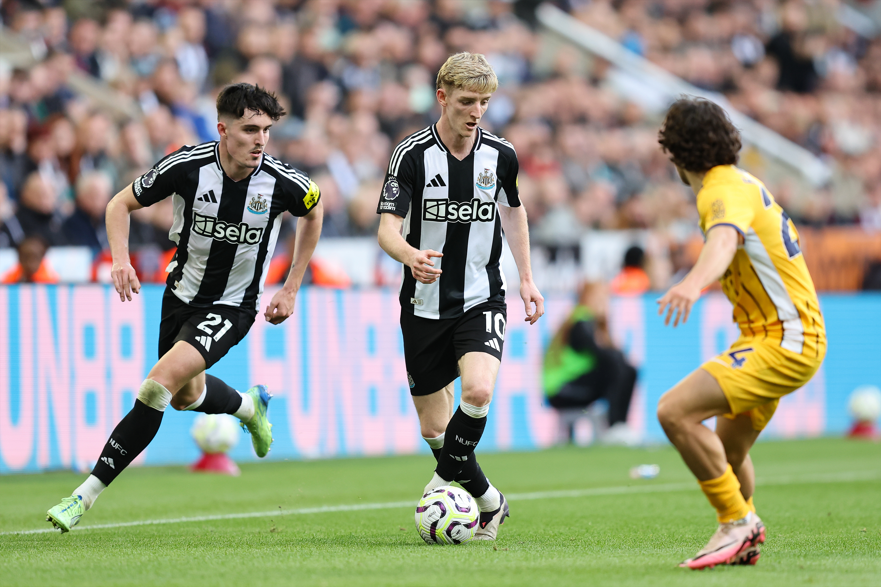 Nhận định, soi kèo Newcastle vs Brighton, 21h00 ngày 2/5
